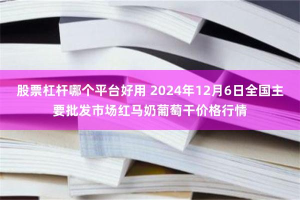 股票杠杆哪个平台好用 2024年12月6日全国主要批发市场红马奶葡萄干价格行情