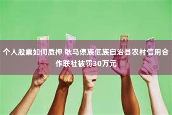 个人股票如何质押 耿马傣族佤族自治县农村信用合作联社被罚30万元