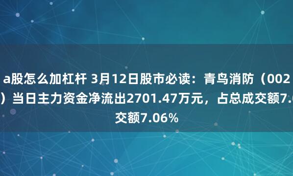 a股怎么加杠杆 3月12日股市必读：青鸟消防（002960）当日主力资金净流出2701.47万元，占总成交额7.06%