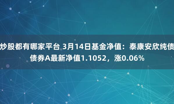 炒股都有哪家平台 3月14日基金净值：泰康安欣纯债债券A最新净值1.1052，涨0.06%